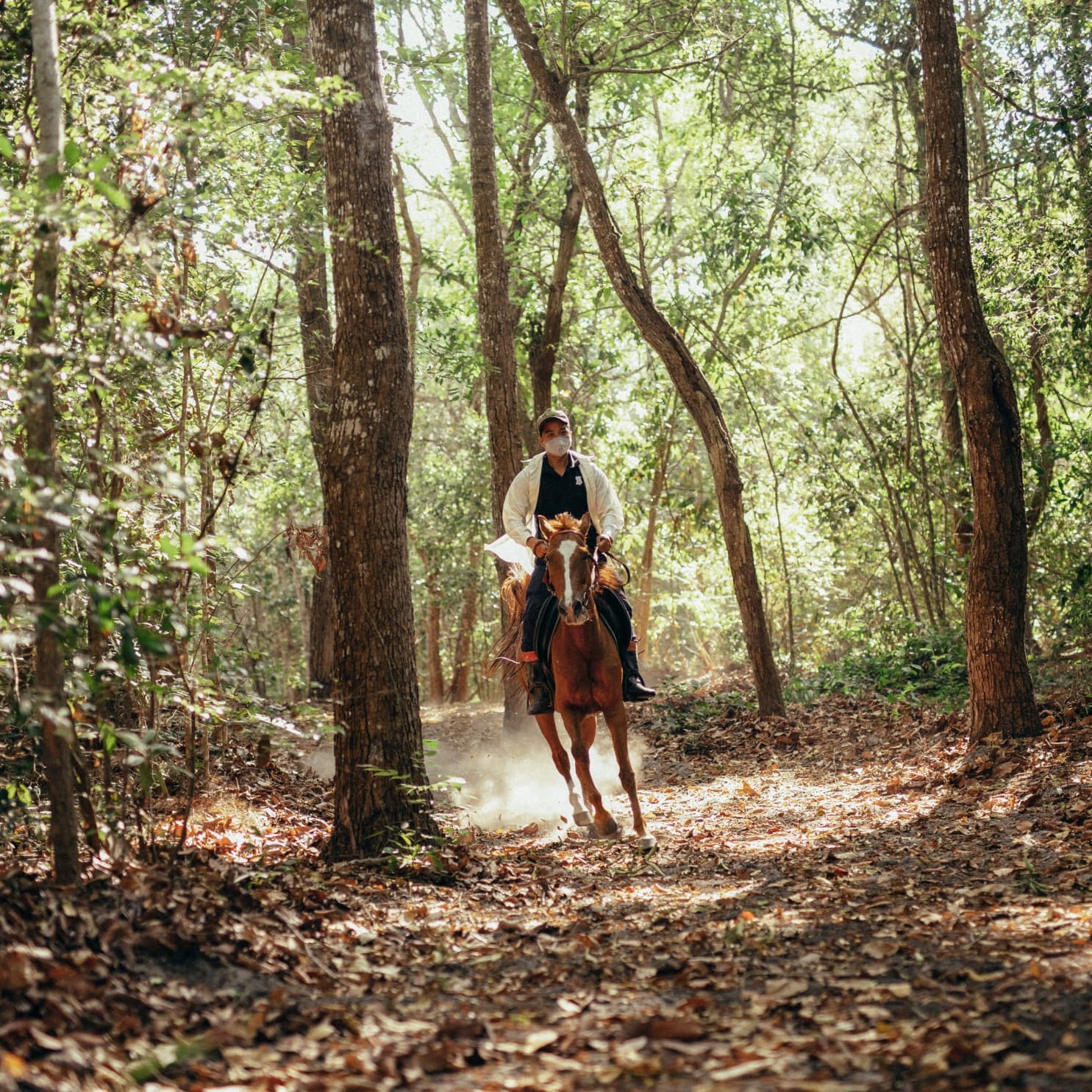 Nature discovery area in primitive forest near Ho Tram