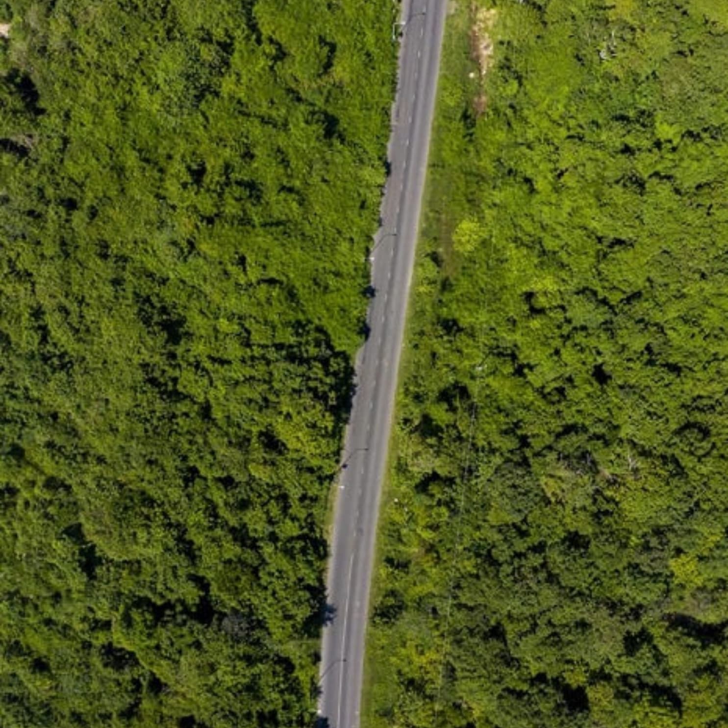 Binh Chau Phuoc Buu nature reserve near Ho Tram